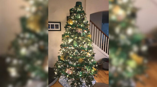 My cat's Christmas trees.
